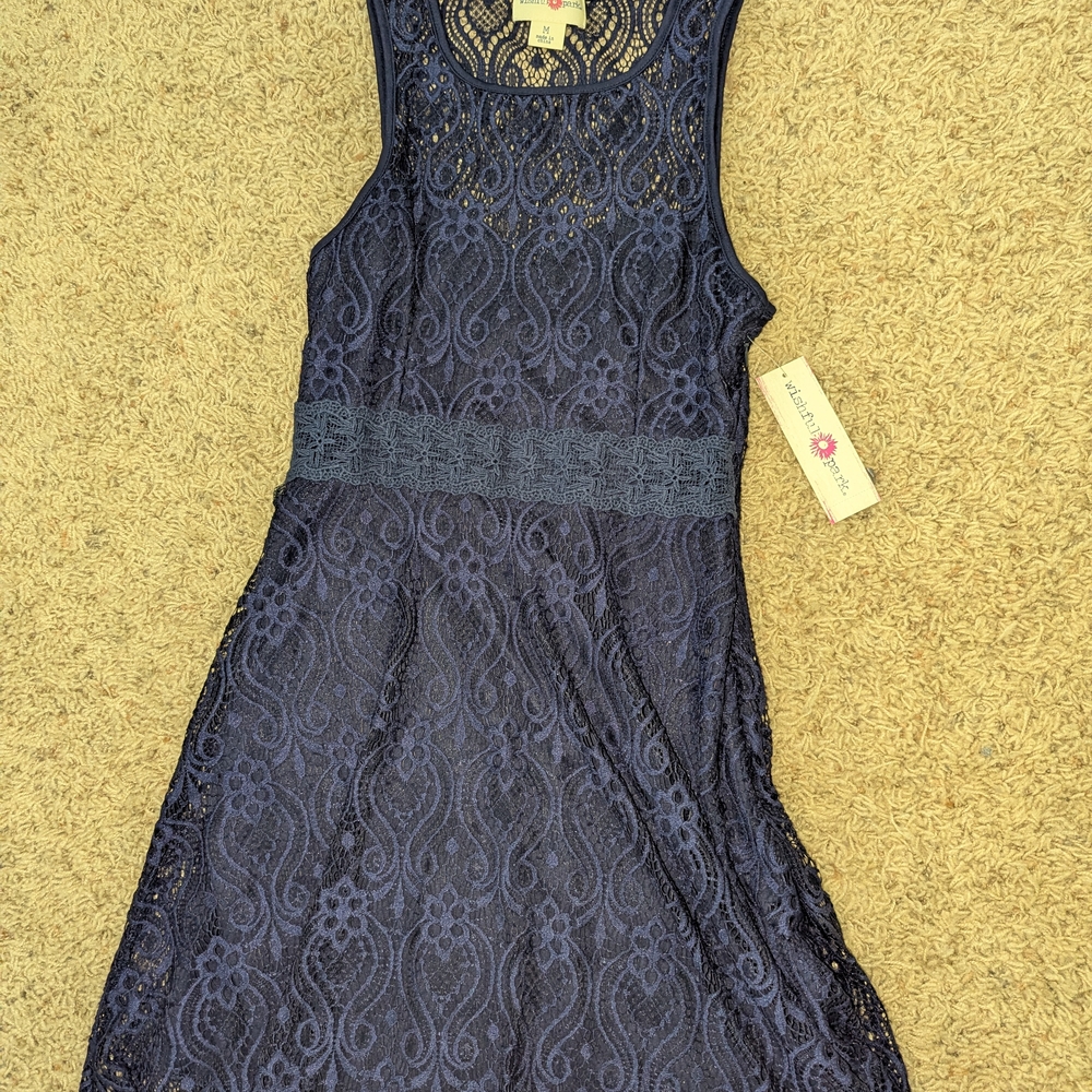 Wishful Park Navy Lace Mini Dress